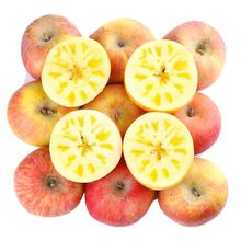 新疆阿克苏（精品）冰糖心苹果 净重4.5斤