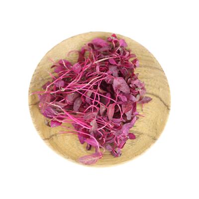 千牛优福摆盘装饰花草可食用摆盘