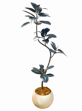 仿真绿植黑金刚橡皮树