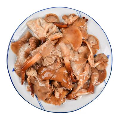新鲜野生榛蘑无根东北特产腌制焯水蘑菇小鸡炖榛蘑食用菌500g新货