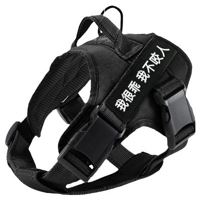 牵引狗链子柯基背心式金毛