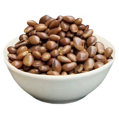 八角籽大料茴香籽中药材中药材