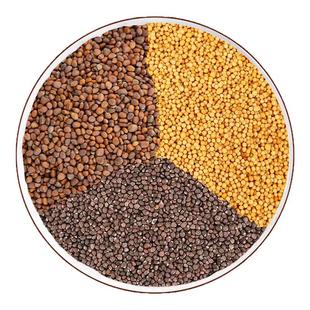 三子养亲汤正品中药材炒莱菔子白芥子紫苏子组合袋泡茶官方旗舰店