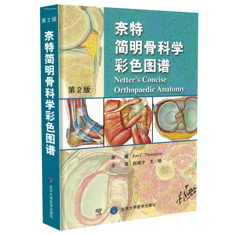 奈特简明骨科学彩色图谱 第2版第二版 Jon C.Thompson 赵建宁 王瑞 译 人体解剖学解剖图谱奈特人体解剖学工具书 北京大学医学出版