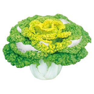 雪里金花黄心乌种子乌塌菜菊花心种籽孑春秋冬菜奶油小白菜黑菜种