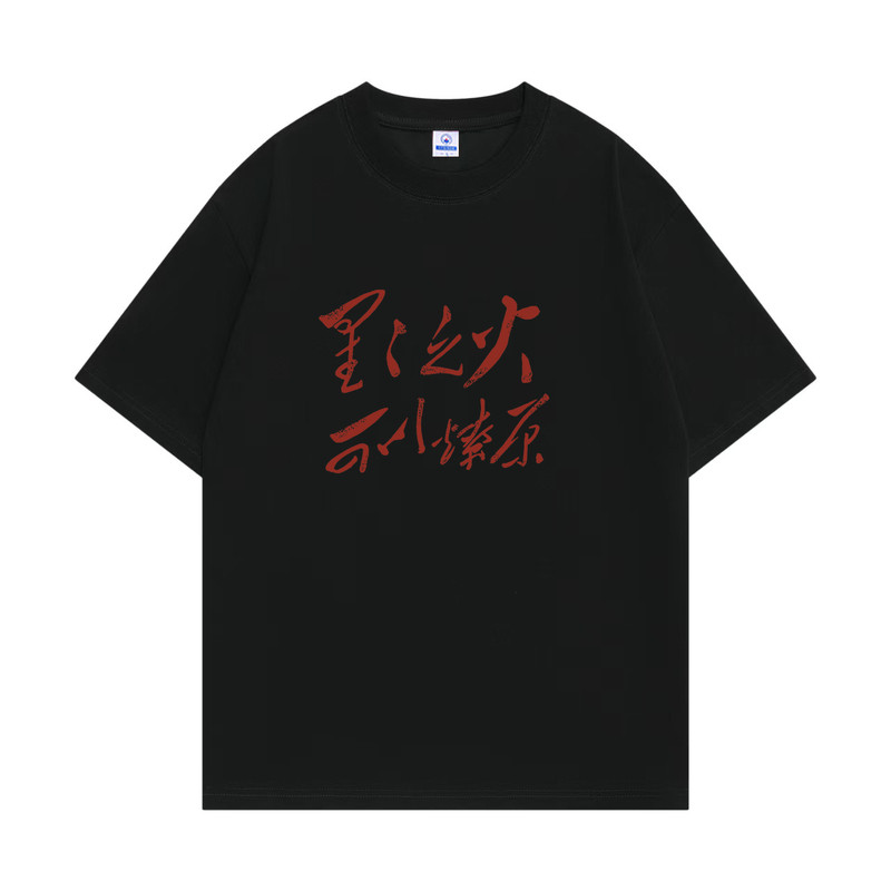 国潮搞笑文字t恤复古怀旧星星之火可以燎原趣味搞笑文字女男衣服