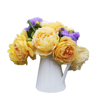 海蒂的花园黄金庆典有香味爬藤