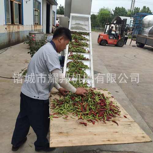 自动毛豆风选机 辣椒筛选加工设备 大红枣玉米枸杞分选除杂物机器