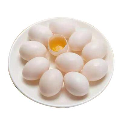 无抗无激素纯粮食喂养顺丰直发