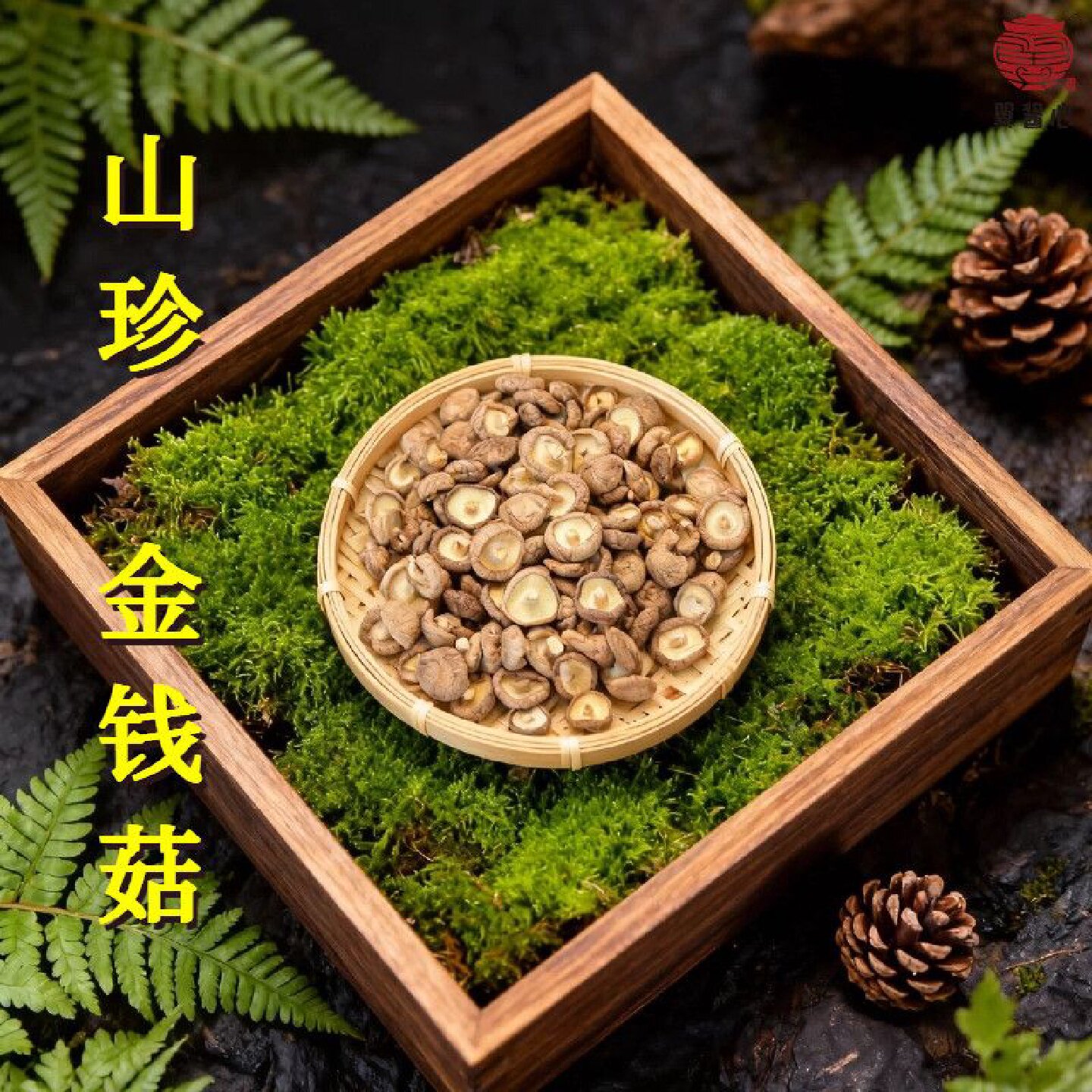 干香菇小个小个小香菇干金钱菇珍珠菇小花菇迷你干货炖汤炒菜煲汤