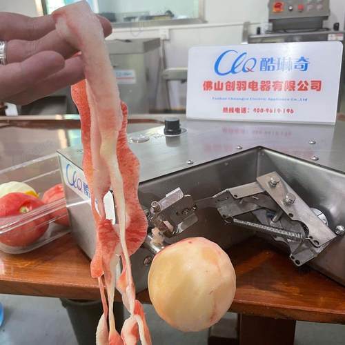 苹果梨子智能水果削皮机西红柿剥皮机桃子葡萄柚圆形水果去皮机