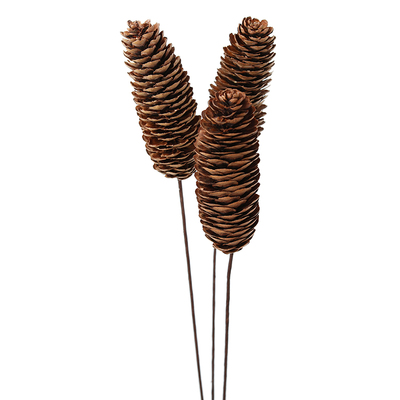 云杉松果天然干果插花装饰道具
