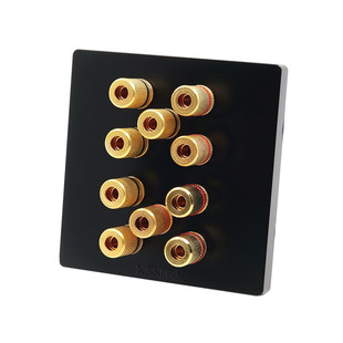 音响插座黑色无边框大面板两四六八十位功放音箱香蕉头多孔插面板