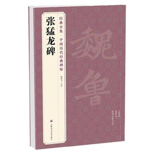 经典全集 《张猛龙碑》中国历代碑帖精粹译文简体注释北魏楷书毛笔字帖书法成人学生临摹帖练古帖练字中国美院出版社 杨建飞