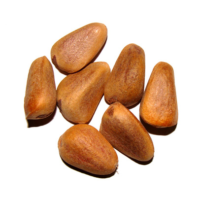 好味道来自原产地新鲜原味生松子