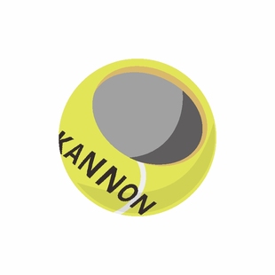 Kannon康龙网球K5K8K9高弹耐打初学者职业训练球男女比赛专用耐