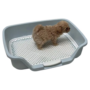 爱丽思宠物狗狗厕所小型犬爱丽丝狗厕所犬尿盆狗便盆夹尿垫防踩屎