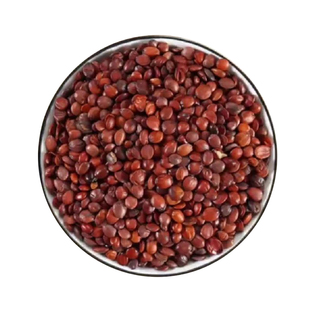 正宗野生酸枣仁中药材官方旗舰店炒熟酸枣仁粉汤泡水茶配茯苓百合