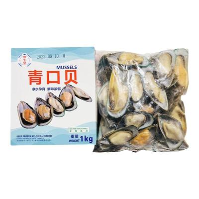 鱼生皇青口贝贻贝商用海货兰维乐