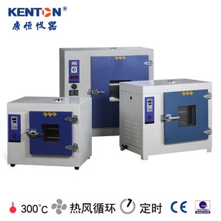加工高温烤箱 300度600度工业用干燥箱 数显恒温工业烘箱