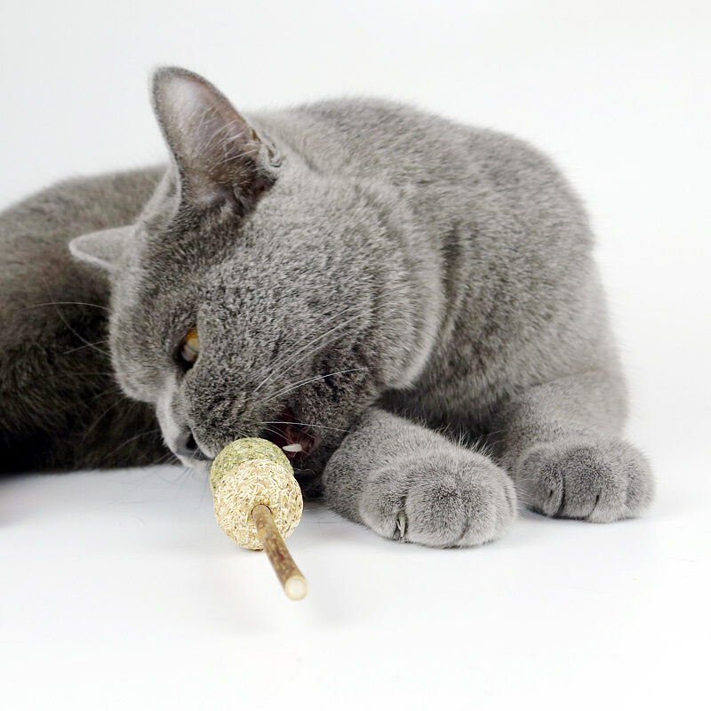 田田猫自嗨神器猫薄荷木天蓼虫瘿果猫磨牙棒猫草耐咬逗猫棒猫玩具