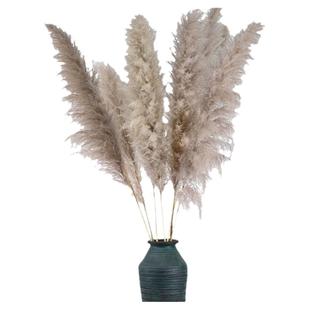 新品公蒲苇干花北欧风格真花花束客厅摆件婚礼现场布置风干大芦苇
