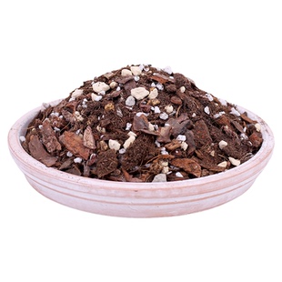 秋海棠营养土热植专用土竹节乌头杂龟背竹绿植种花有机颗粒泥炭土