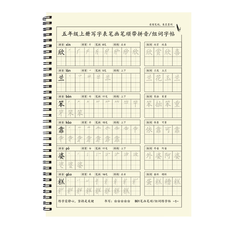 五年级上下册字帖笔画笔顺练字本