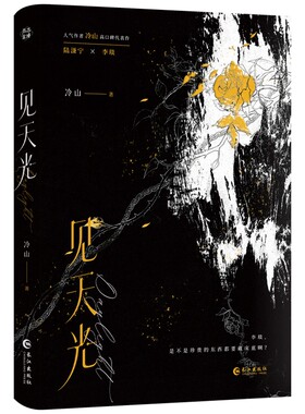 冷山见天光小说双面镭射正版