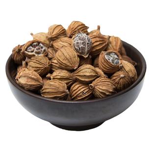 香砂仁 金砂仁川卤水炖肉麻辣烫火锅香料调料大全六件包邮50g