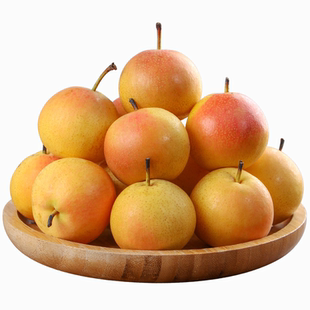 鞍山南果梨5斤海城南果梨东北特产新鲜水果整箱包邮