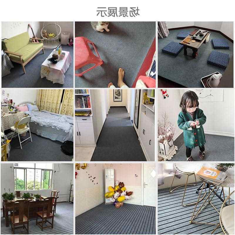 地毯卧室出租屋客厅满铺家用大面积全铺办公室商用加厚耐脏地垫