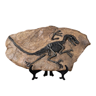 创意恐龙骨架模型化石摆件霸王龙标本装饰品家居办公室工艺品摆设