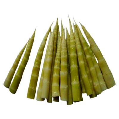 江西特产新鲜春笋清水小竹笋300g