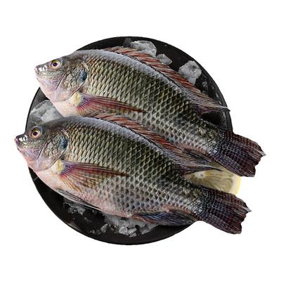 国联水产三去罗非鱼700g*4袋