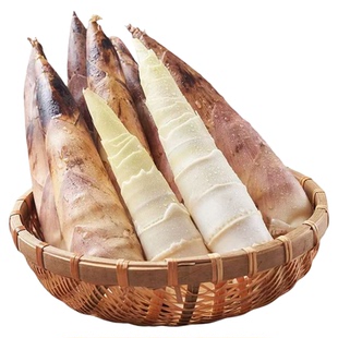 新鲜现挖竹笋春笋冬笋手拨笋原料嫩当季食用蔬菜油焖笋现挖发