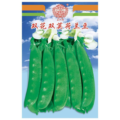 农家高产秋冬季蔬菜种孑荷兰豆