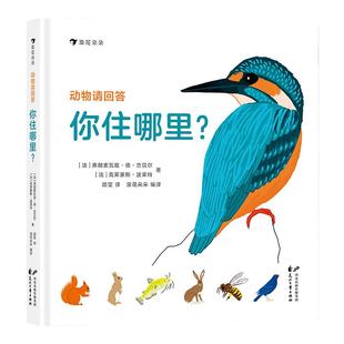 后浪正版 动物请回答你住哪里· 43种动物的筑巢技巧与生存智慧 手绘场景图 3～6科普百科书籍  浪花朵朵童书