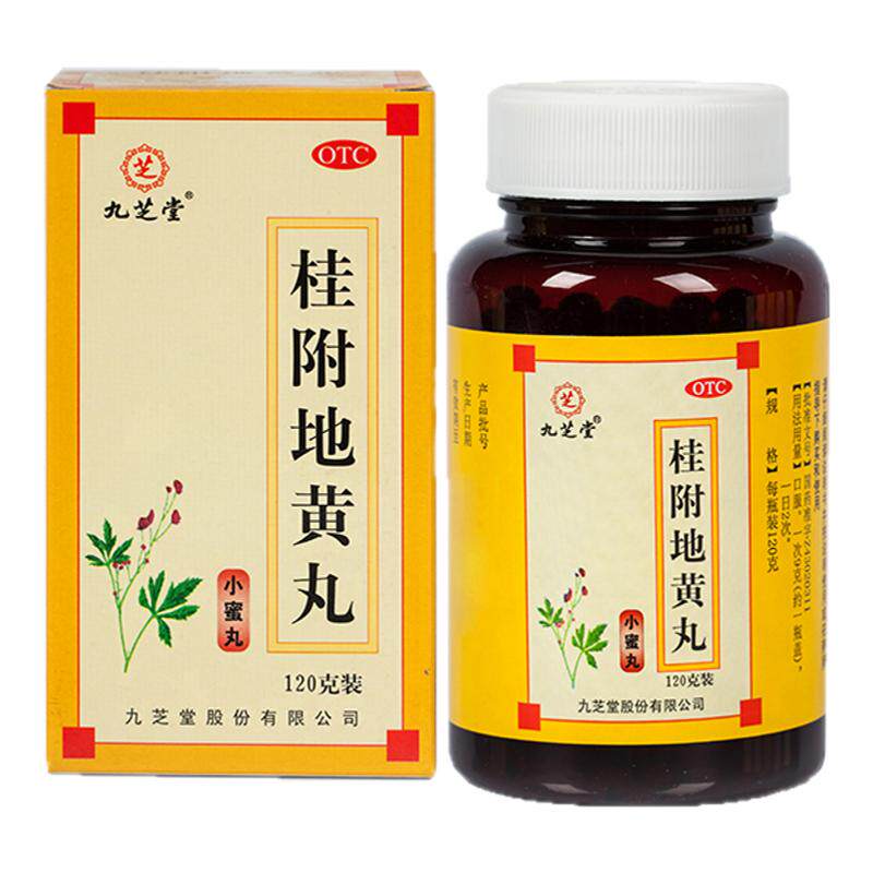 九芝堂 桂附地黄丸 120g*1瓶/盒 温补肾阳 正品旗舰店