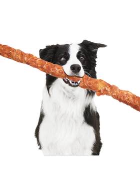 益和狗零食磨牙棒中大型犬80cm