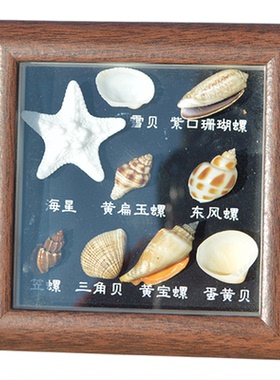 批发贝壳海螺鲍鱼壳相框可开发票