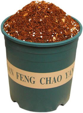 香妃茶花专用土疏松透气保水无虫