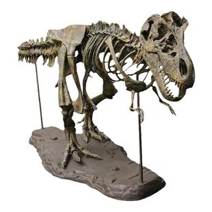 恐龙骨架模型化石玩具霸王龙动物大号拼装考古挖掘原石组装男孩