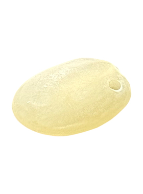 天然植物柿子核串珠手串材料