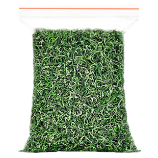 2025新茶叶湘西保靖黄金茶雨前嫩芽绿茶浓香型毛尖散装袋装茶叶