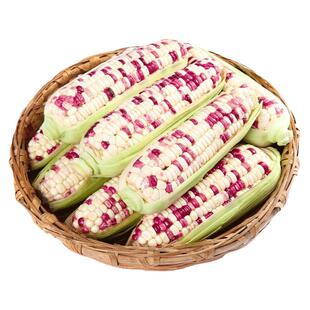 新鲜现摘花糯玉米5斤当季整箱甜玉米棒子苞谷粒水果玉米蔬菜现摘9