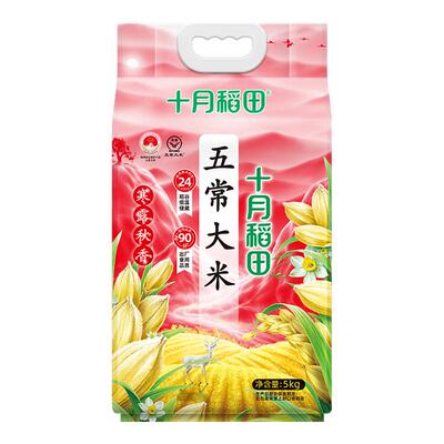 十月稻田五常大米东北大米