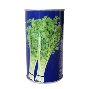 四季小芹菜种子种籽香芹孑籽种蔬菜芹菜根苗菜籽芹莱苗香芹幼苗秧