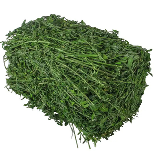 苜蓿草兔子粮草紫花干草幼兔食用豚鼠吃的粮食苜蓿小麦草兔粮饲料