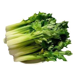 芹菜心 清芹芯 新鲜蔬菜云南高原生吃水果青芹芽特色食材 500g